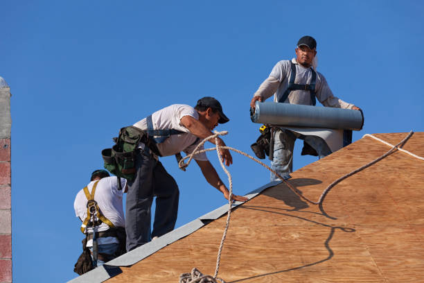 Best Roof Gutter Cleaning  in La Huerta, NM