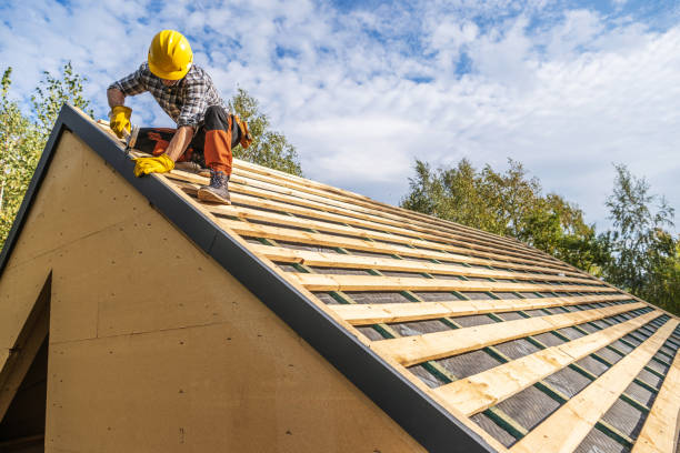 Best Flat Roof Repair Services  in La Huerta, NM