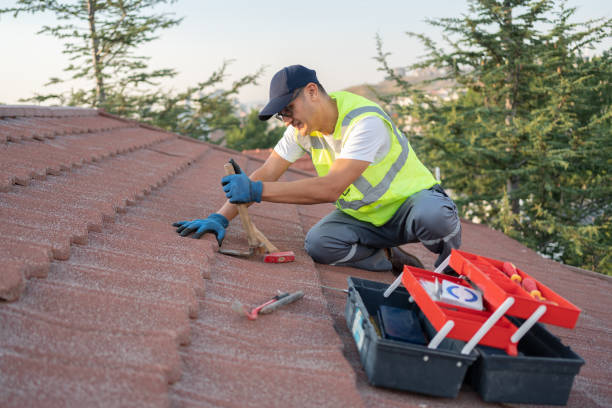 Best Roof Repair Services  in La Huerta, NM