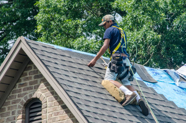 Best New Roof Installation  in La Huerta, NM