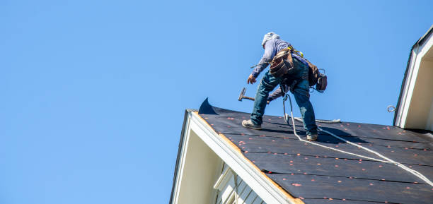 Best Metal Roofing Contractor  in La Huerta, NM